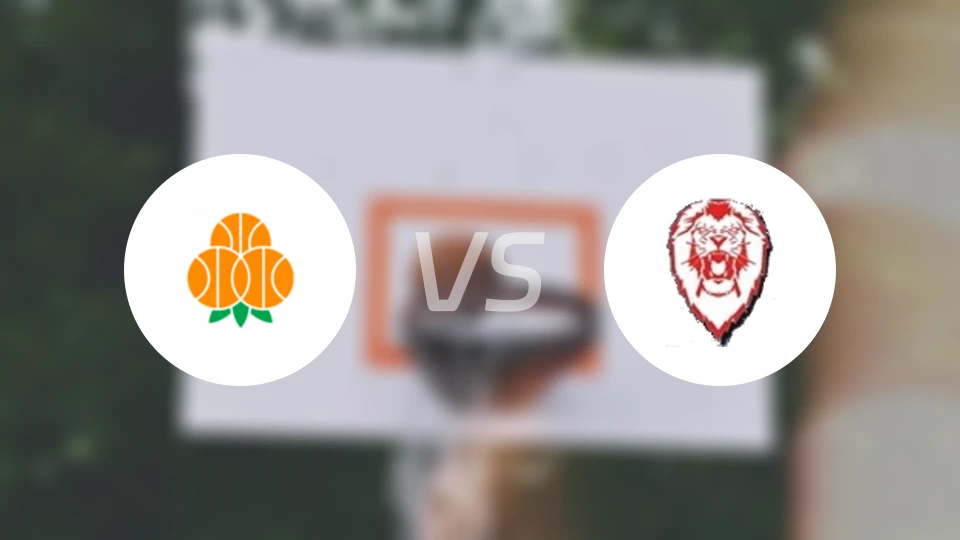 于默奥vs霍格斯博篮球比分预测【2025/11/20】