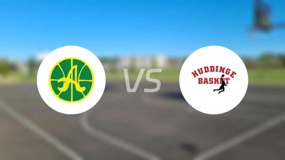 艾维克vs哈丁格比分预测【2026/02/19】