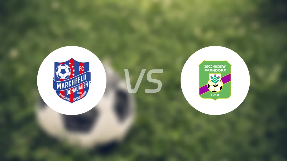 曼斯多夫vs帕多夫比分预测【2025/11/15】