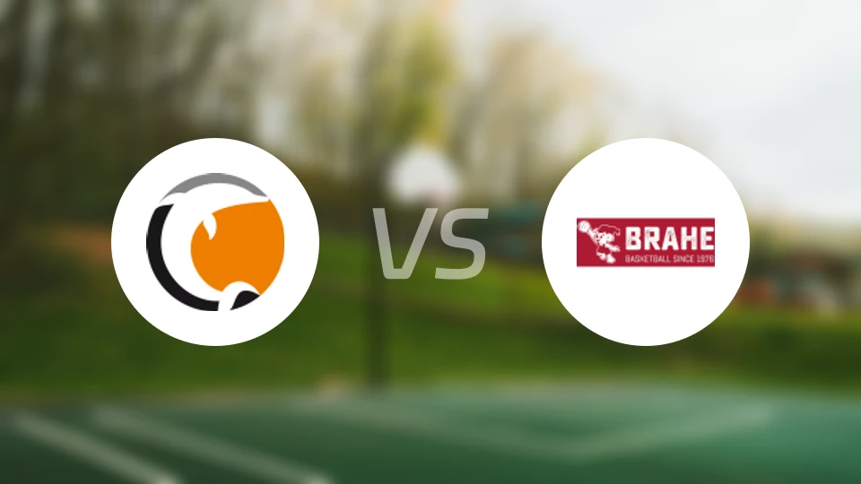 诺高平女篮vs布拉赫女篮比分预测【2026/02/12】