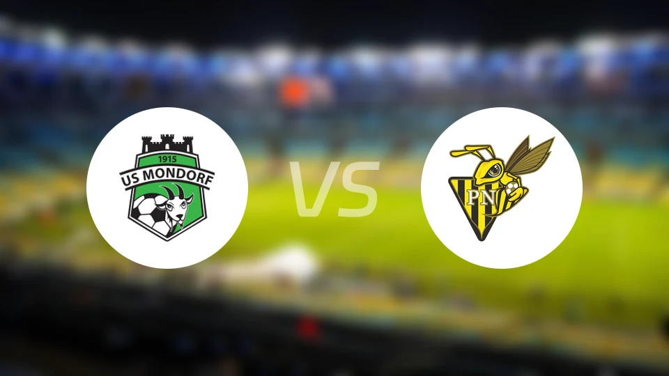 蒙多夫vs尼达克比分预测【2026/02/08】