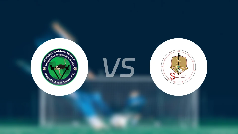 内格莱阿西vs谢格尔凯特马比分预测【2025/12/03】