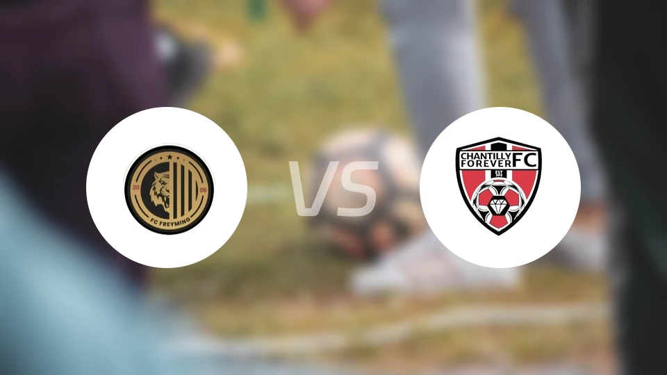 弗赖明vs查迪利比分预测【2025/12/20】