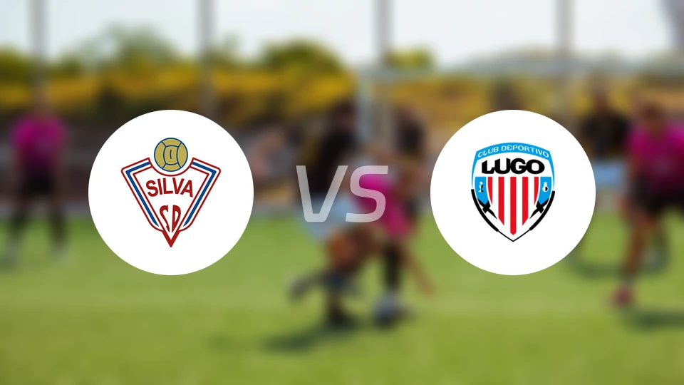 斯尔华vs卢高B队比分预测【2026/04/05】