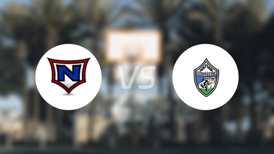 拿尔维克女篮vs哈马尔女篮比分预测【2025/11/05】