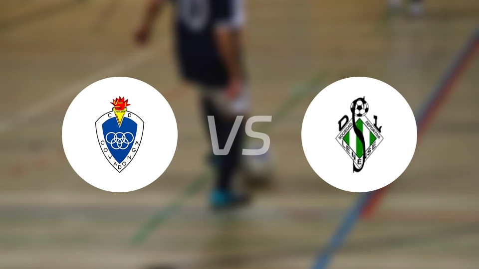 科瓦栋卡vs尼能瑟比分预测【2024/10/27】