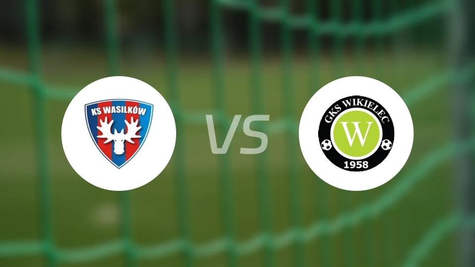 瓦西里科夫vs维基勒比分预测【2025/11/29】