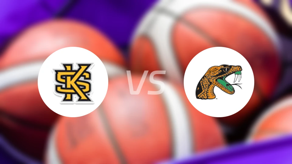 肯尼索州立vs佛罗里达农工大学比分结果战报【2025/11/09】