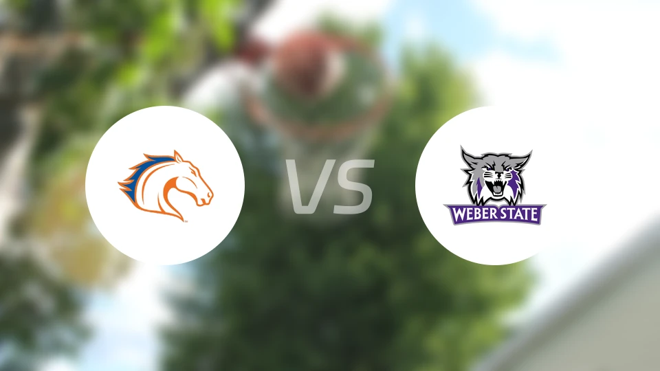 得州大学阿灵顿分校vs韦伯州立大学比分预测【2025/11/23】