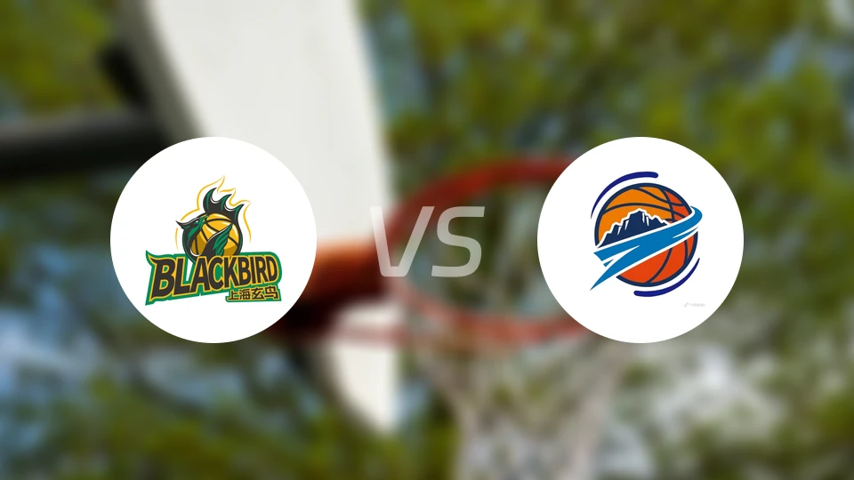 上海玄鸟vs焦作文旅录像回放【2025/12/30】