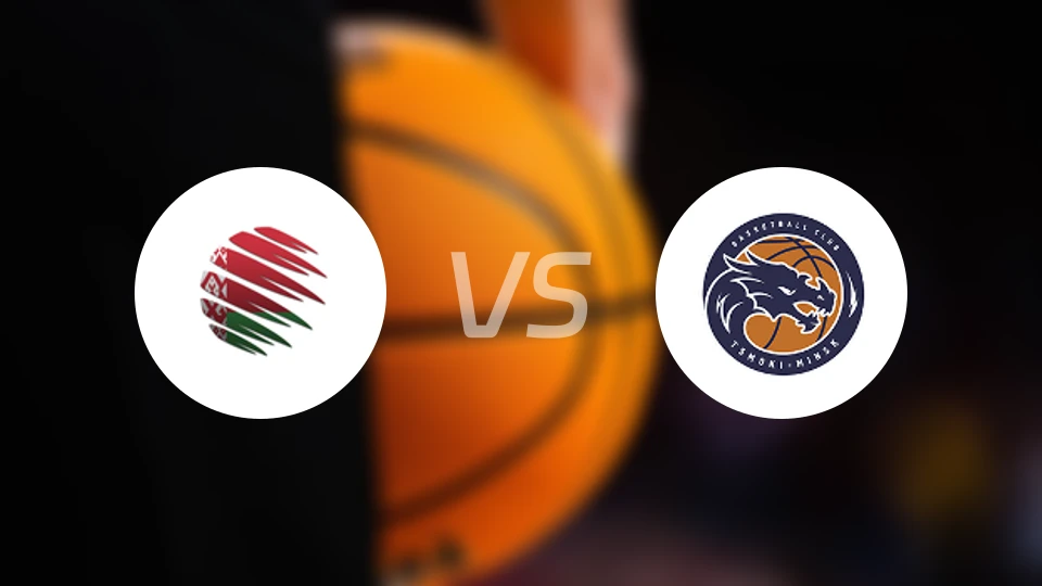 戈梅尔vs苏杜明斯克比分预测【2025/12/14】