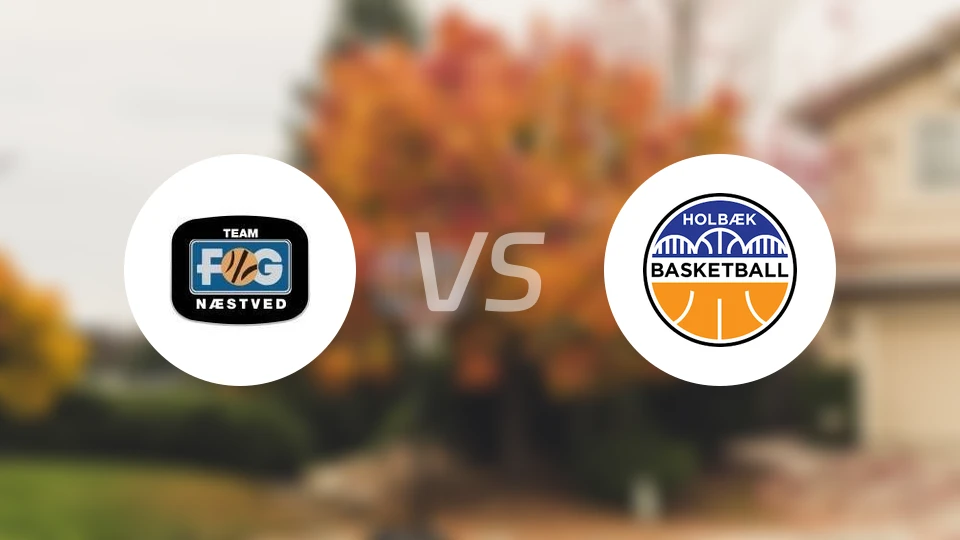 内斯提夫vs霍尔贝克比分预测【2026/02/20】