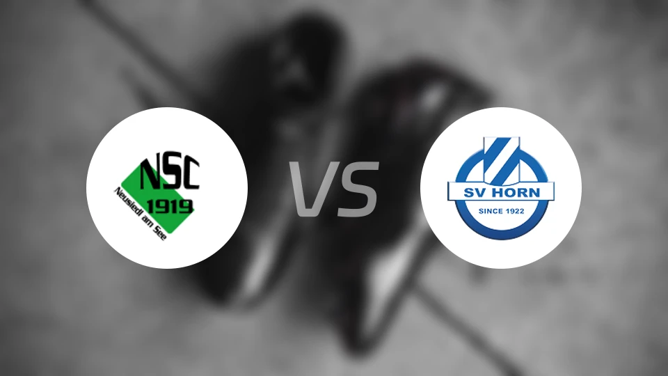 纽锡德尔vsSV霍恩比分预测【2026/03/14】