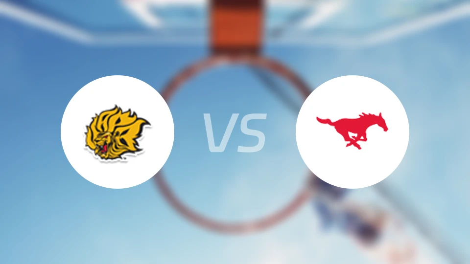 阿肯色大学派恩布拉夫分校vs南卫理公会大学比分结果战报【2025/11/19】