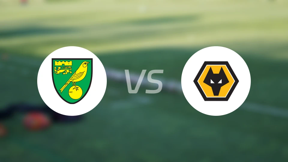 诺维奇U21vs狼队U21比分结果战报【2026/01/17】