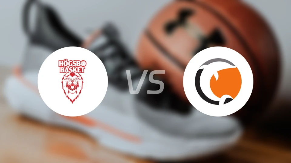 霍格斯博篮球vs诺科平海豚比分预测【2026/01/18】