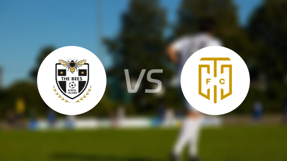 比斯足球俱乐部vs开普敦城比分预测【2026/04/25】