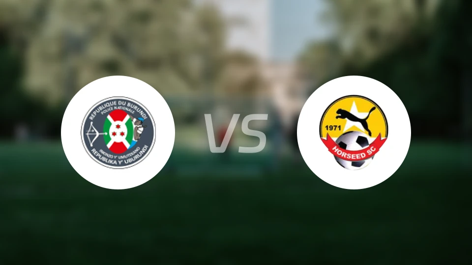 鲁金佐FCvs霍思德比分预测【2024/08/23】
