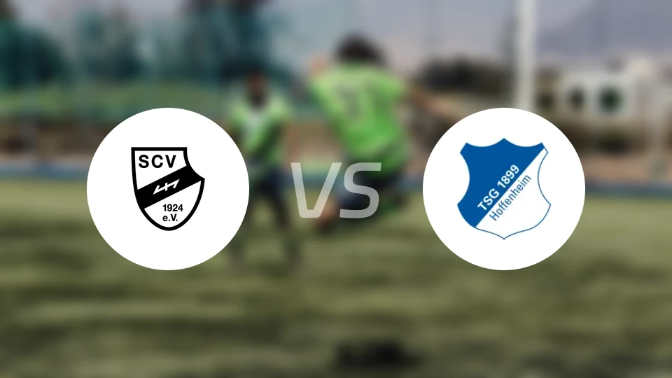SC维尔vs霍芬海姆青年队比分预测【2026/02/14】