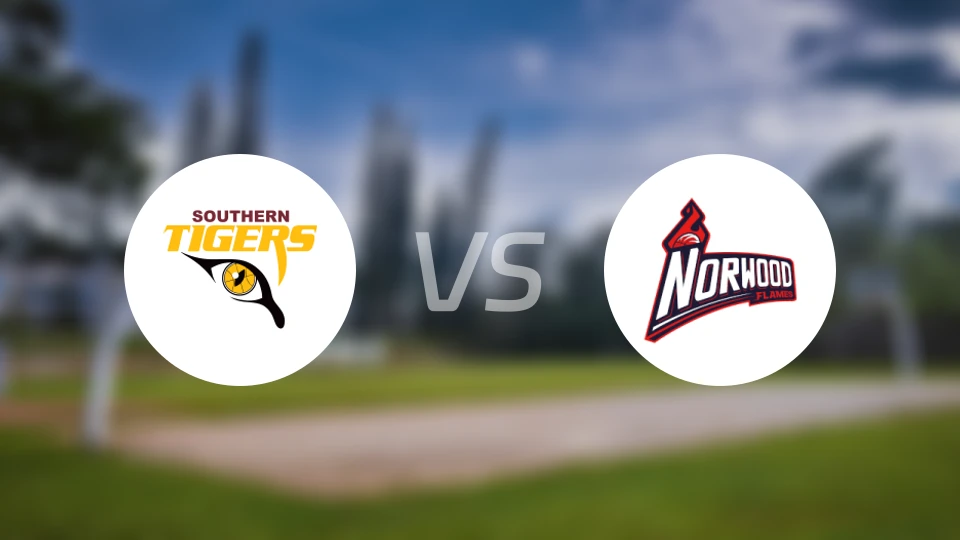 南部老虎女篮vs诺伍德火焰女篮比分预测【2026/03/28】