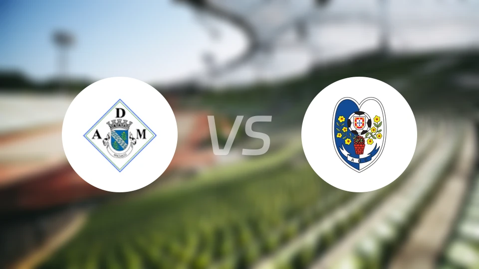 马希高vs卡马查比分预测【2025/11/29】