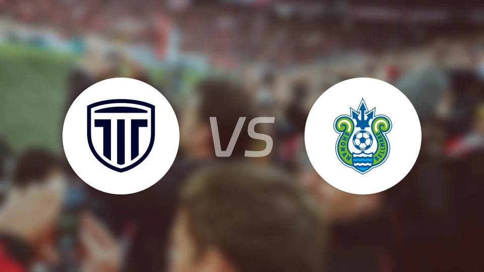 枥木市FCvs湘南丽海比分结果战报【2026/02/28】