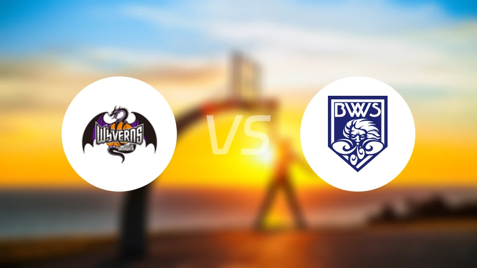 山形飞龙vs福井吹风比分预测【2025/11/15】