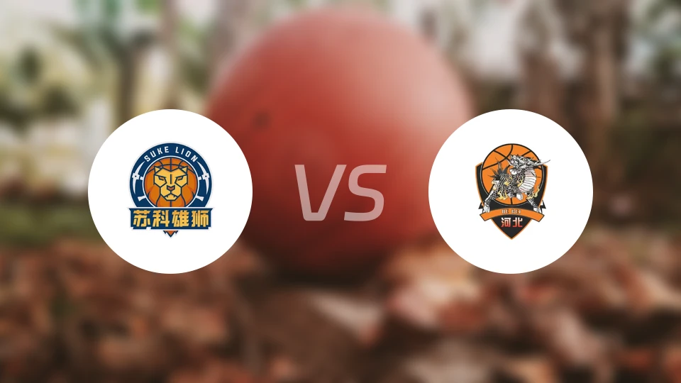 盐南苏科雄狮vs石家庄翔蓝录像回放【2026/03/06】