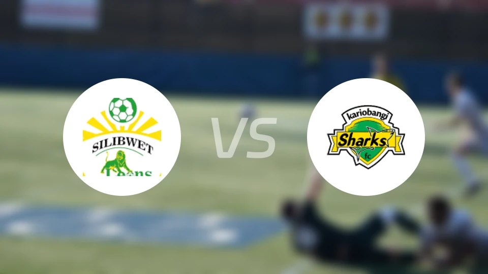 波迈特市vs卡里班吉鲨鱼比分预测【2026/02/19】