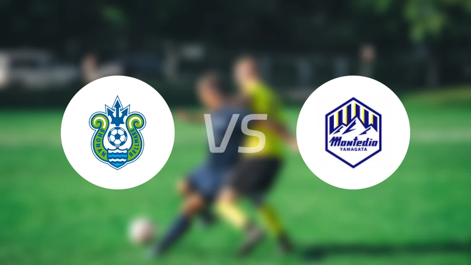 湘南丽海vs山形山神比分结果战报【2026/03/14】