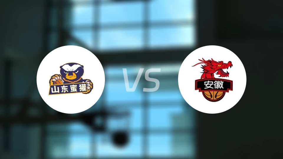 山东蜜獾vs安徽皖江龙录像回放【2026/01/29】