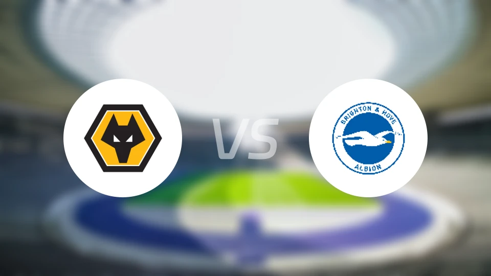 狼队U21vs布莱顿U21比分预测【2026/02/17】