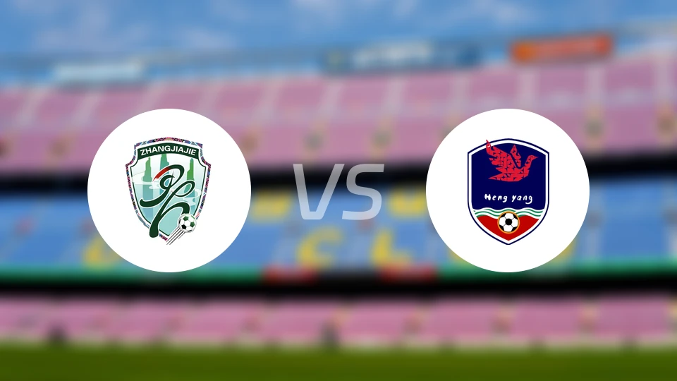 张家界队vs衡阳队录像回放【2025/11/02】