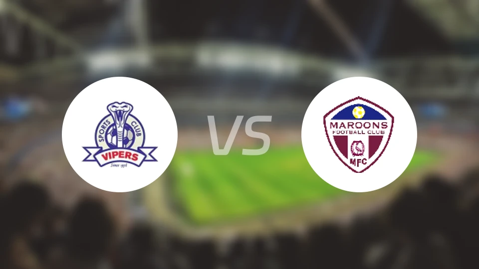 毒蛇vs马鲁比分预测【2025/11/23】