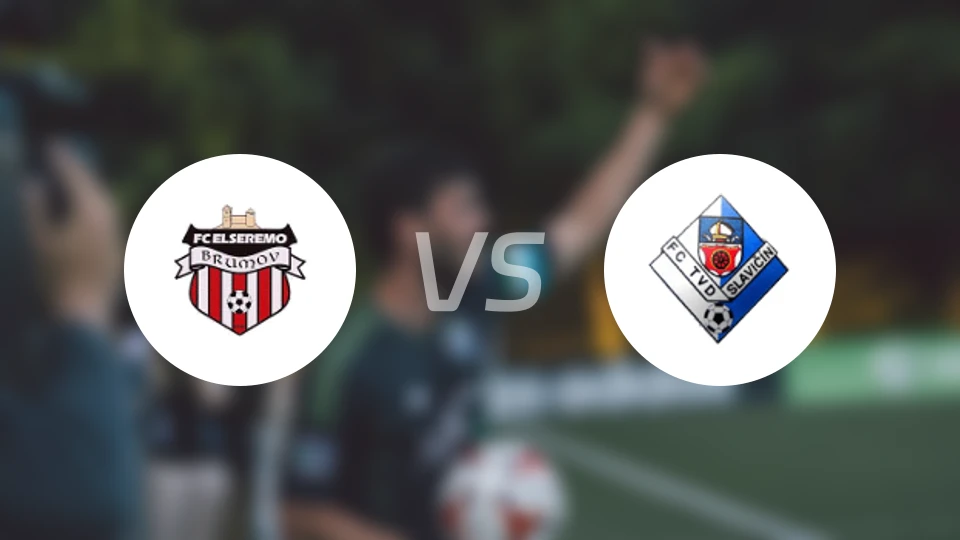 布鲁莫夫vs史拉维辛比分预测【2026/03/15】