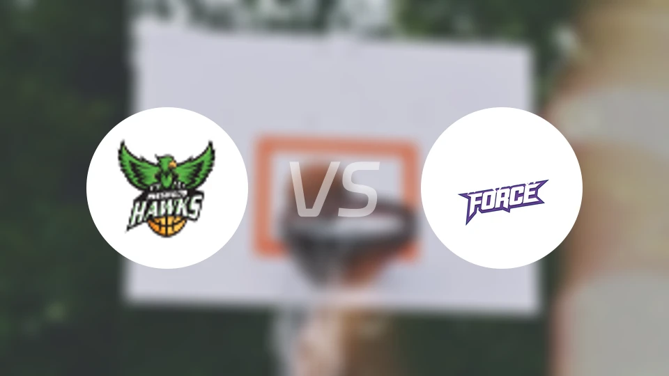 灵伍德老鹰女篮vs北方力量女篮比分预测【2026/04/11】