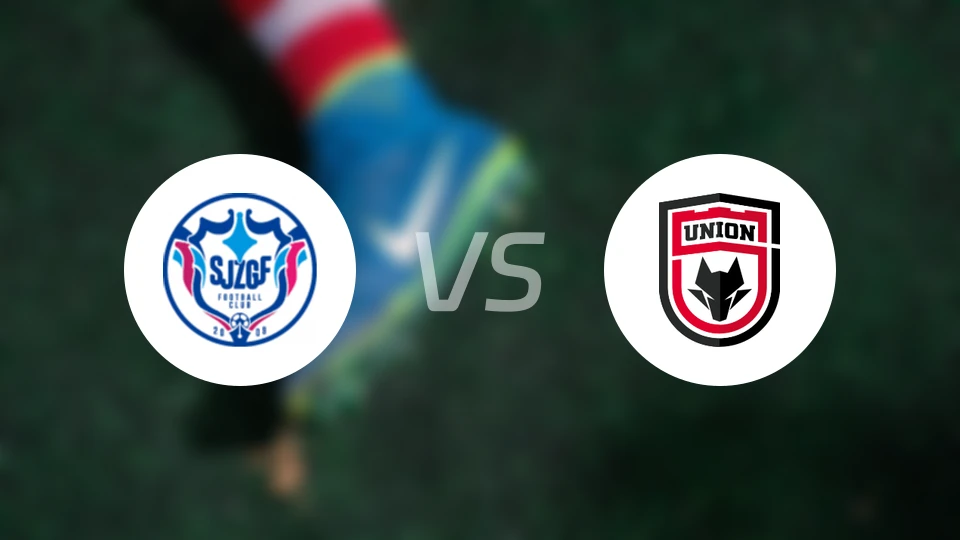 石家庄功夫vs陕西联合录像回放【2025/08/17】