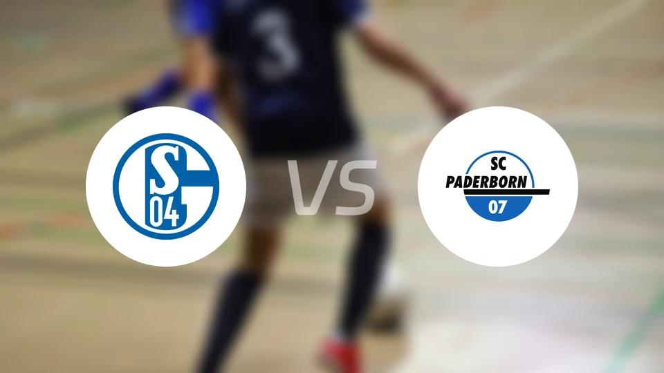 沙尔克04vs帕德博恩比分预测【2025/11/29】