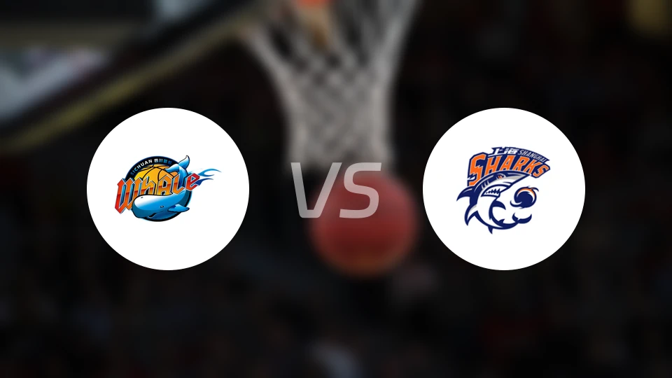 四川vs上海录像回放【2026/03/14】