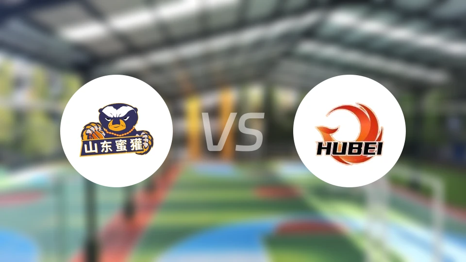山东蜜獾vs湖北文旅录像回放【2026/01/16】