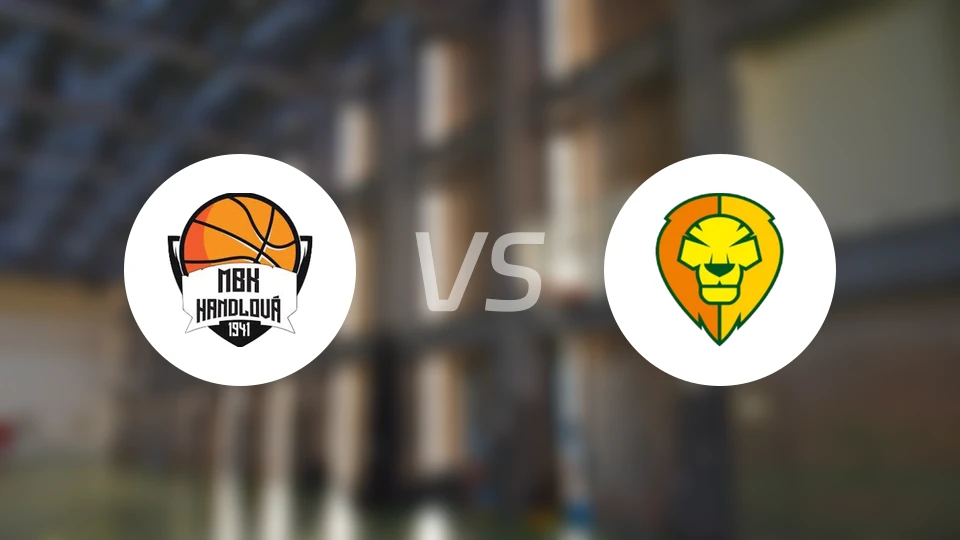 汉德洛瓦vs莱维切比分预测【2026/01/29】