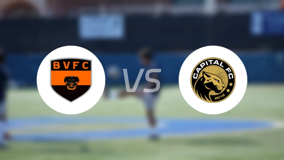 贝拉维斯塔TOvs首都TO比分预测【2026/02/02】