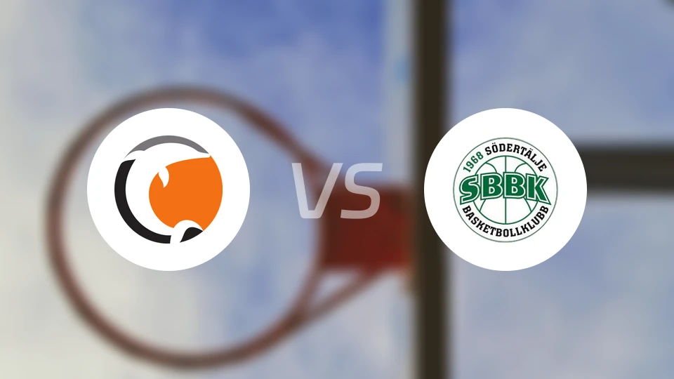 诺科平海豚vs南泰利耶国王比分预测【2026/01/24】