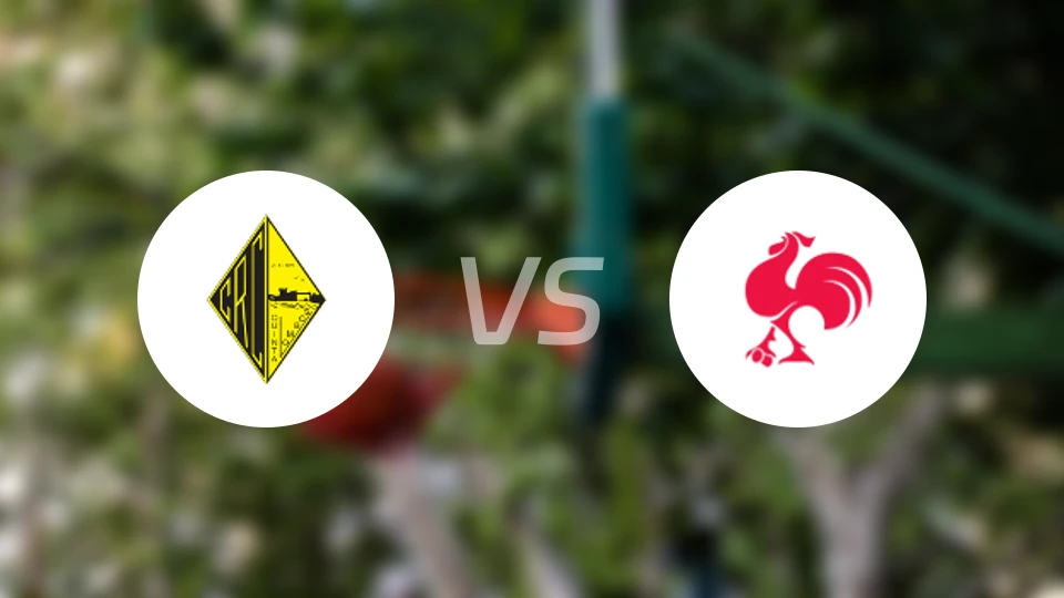 昆塔女篮vs卡里多斯女篮比分预测【2025/11/03】