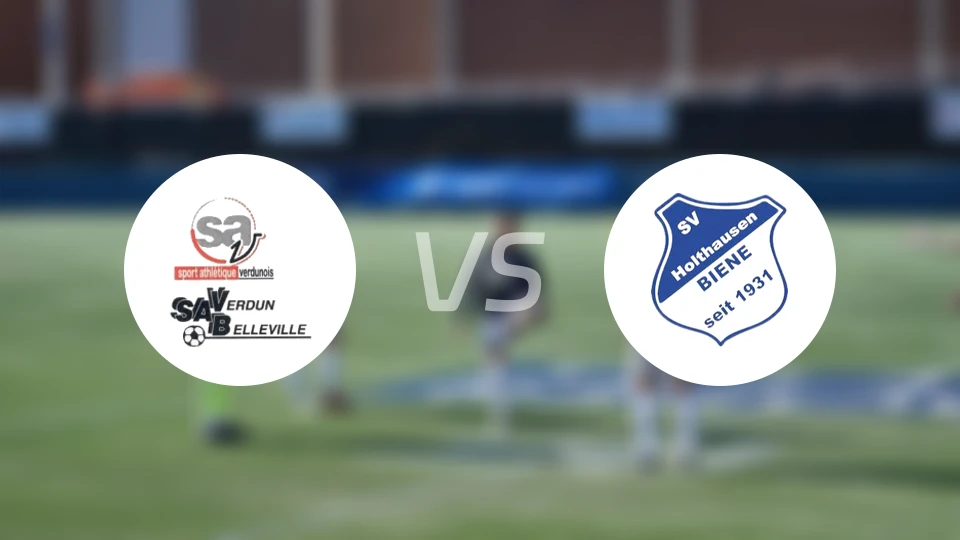 维丹vs霍尔特豪森蜜蜂比分预测【2025/11/23】