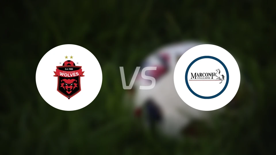 卧龙海岸狼队vs马可尼比分预测【2025/11/15】