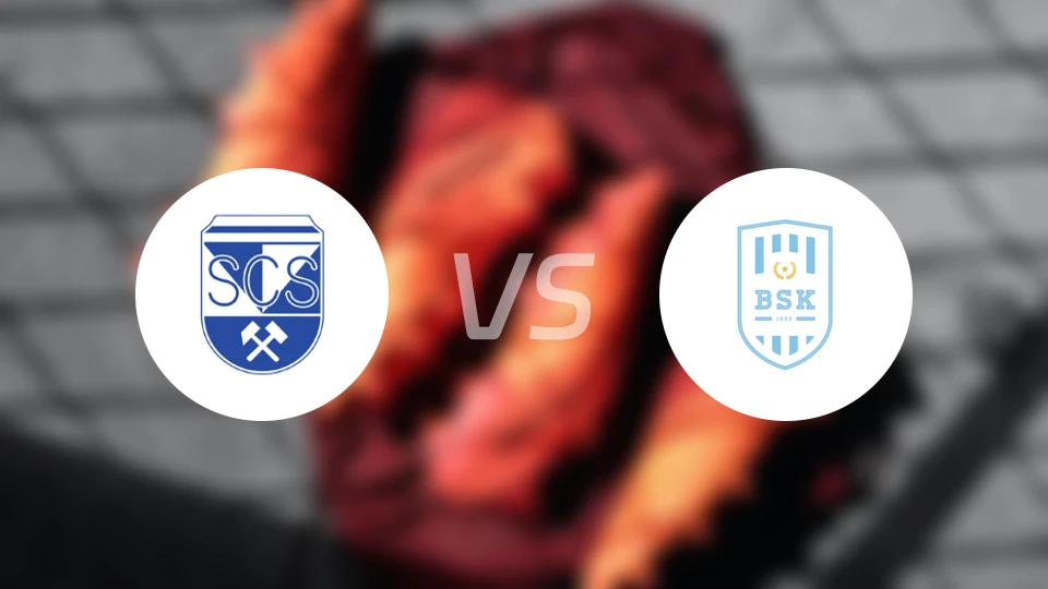 施瓦兹vs比史弗斯霍芬比分预测【2025/11/01】