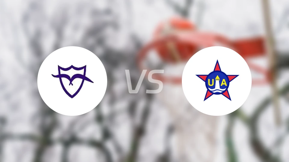 马尔文vs阿雷迪卡比分预测【2026/02/20】