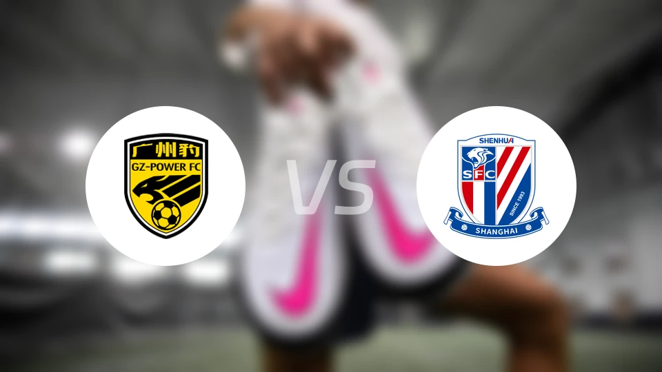 广东广州豹U17vs上海申花U17录像回放【2025/12/29】