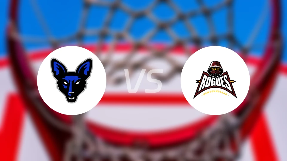 詹姆斯敦豺狼vs纽芬兰流氓比分预测【2026/02/17】